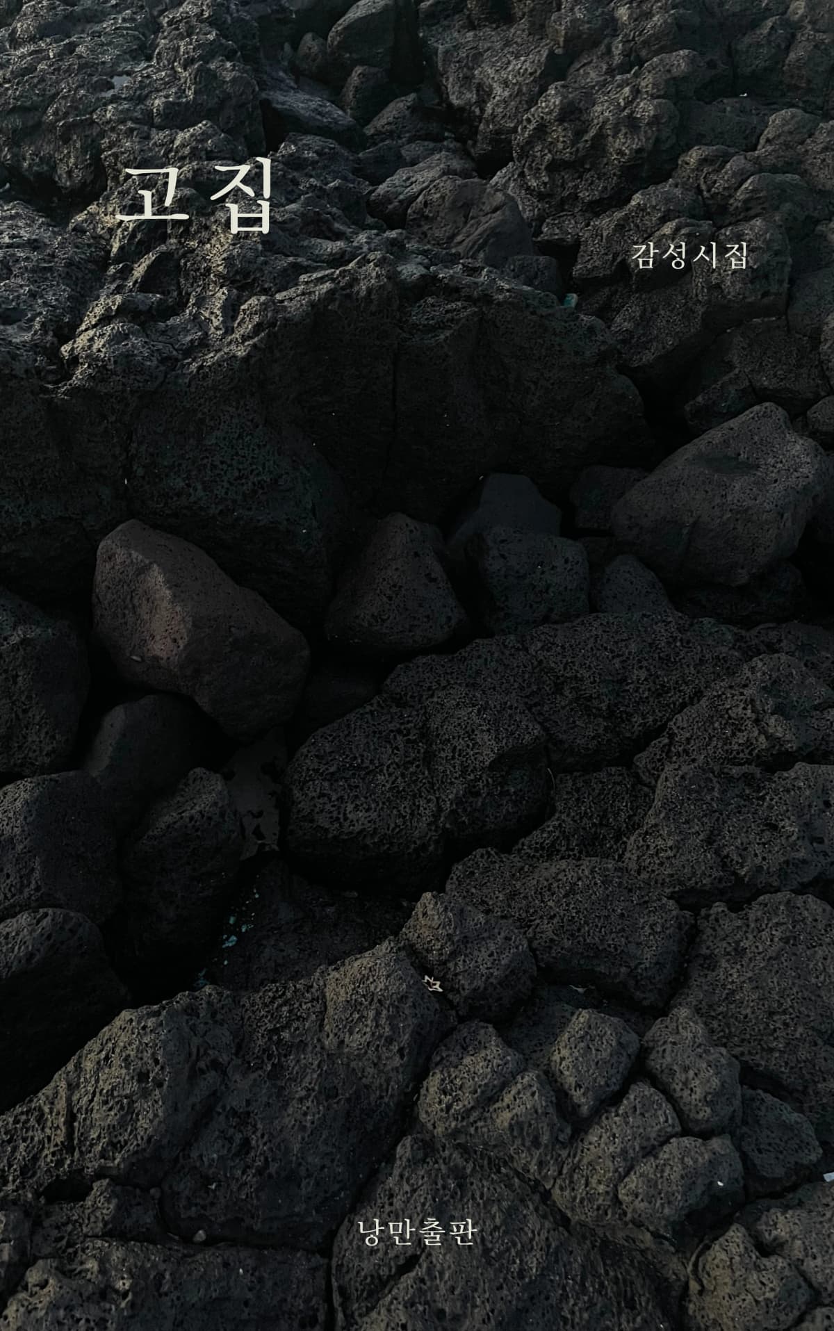 고집