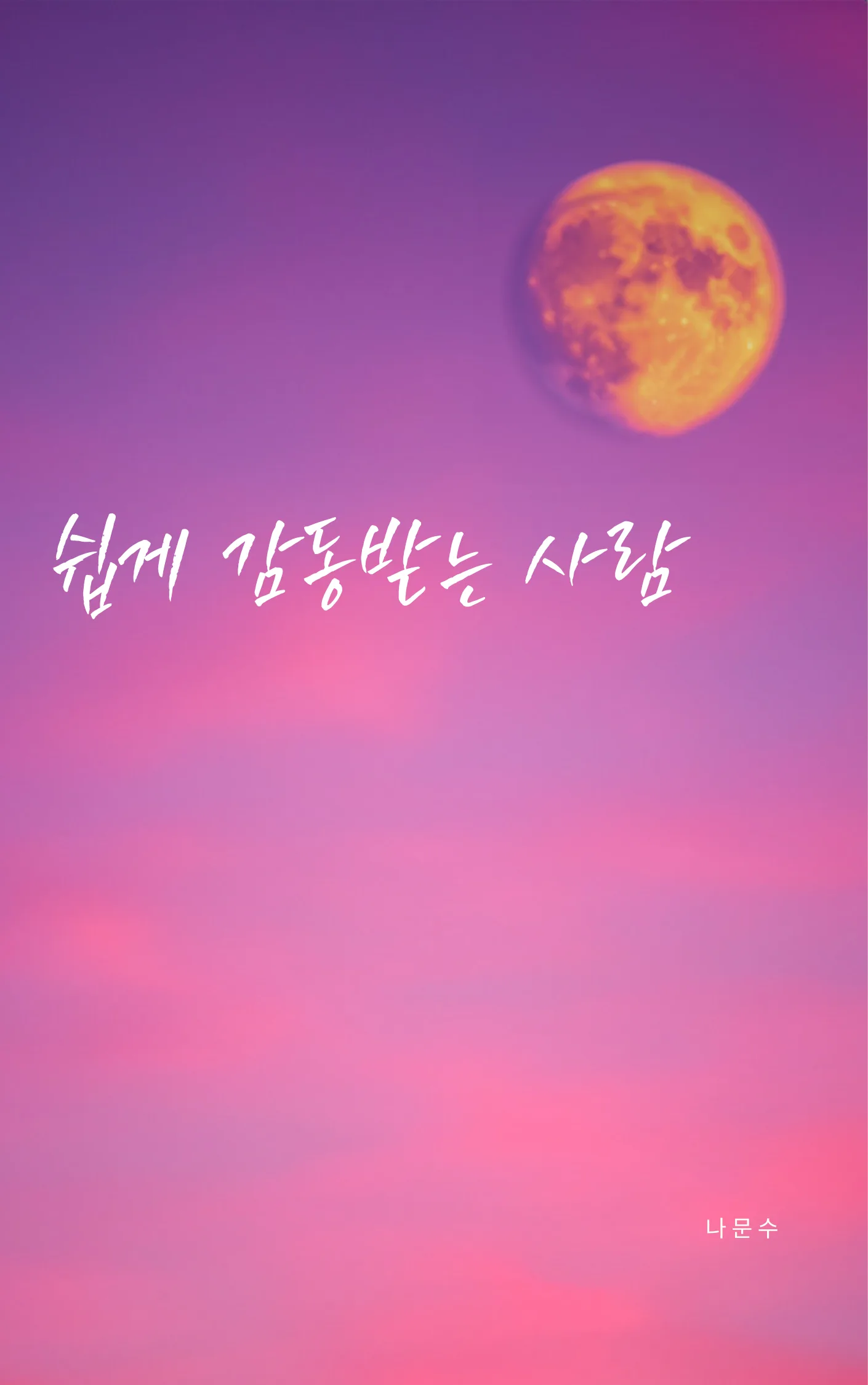 나문수 sub 1