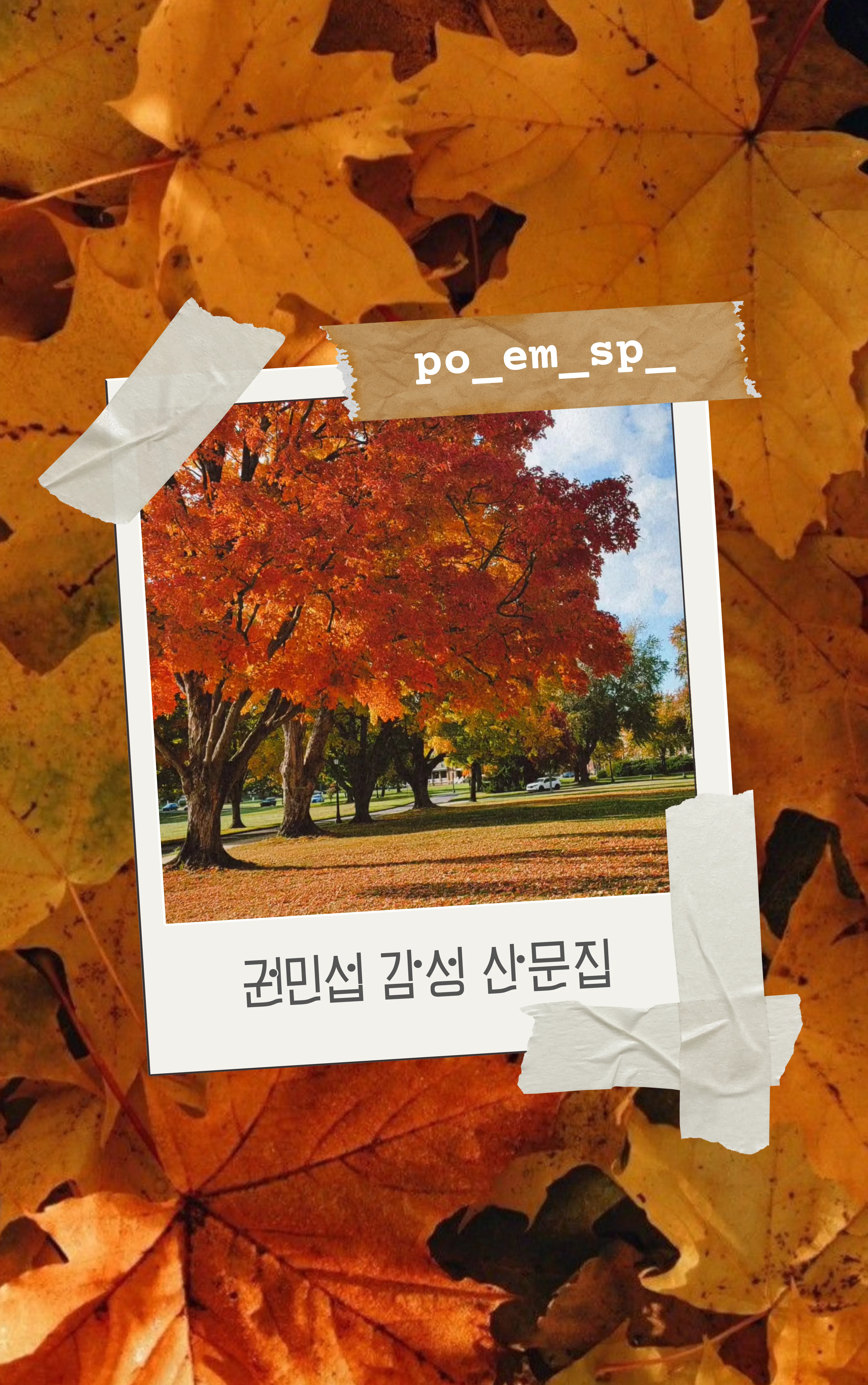 권민섭