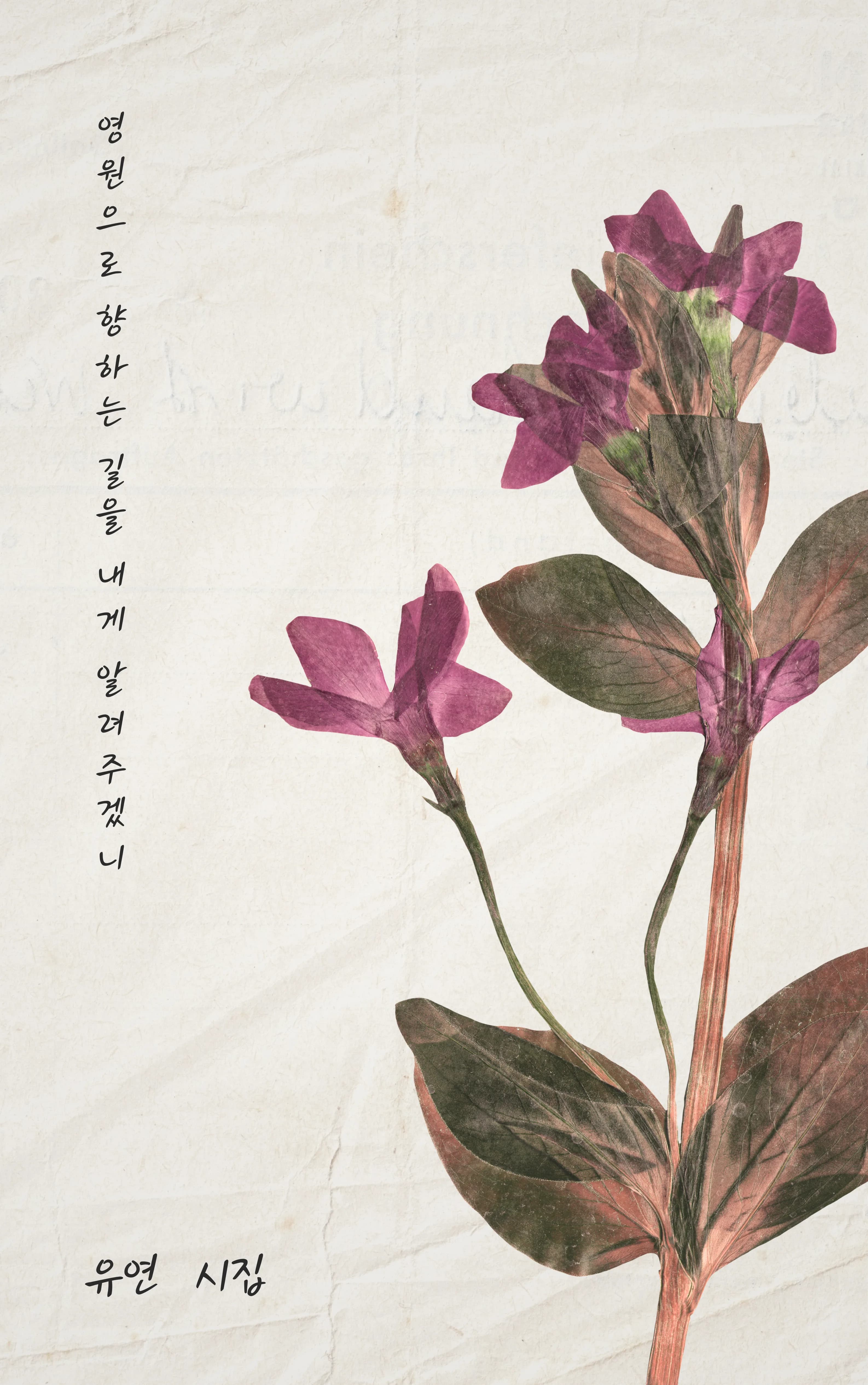 유연 sub 1
