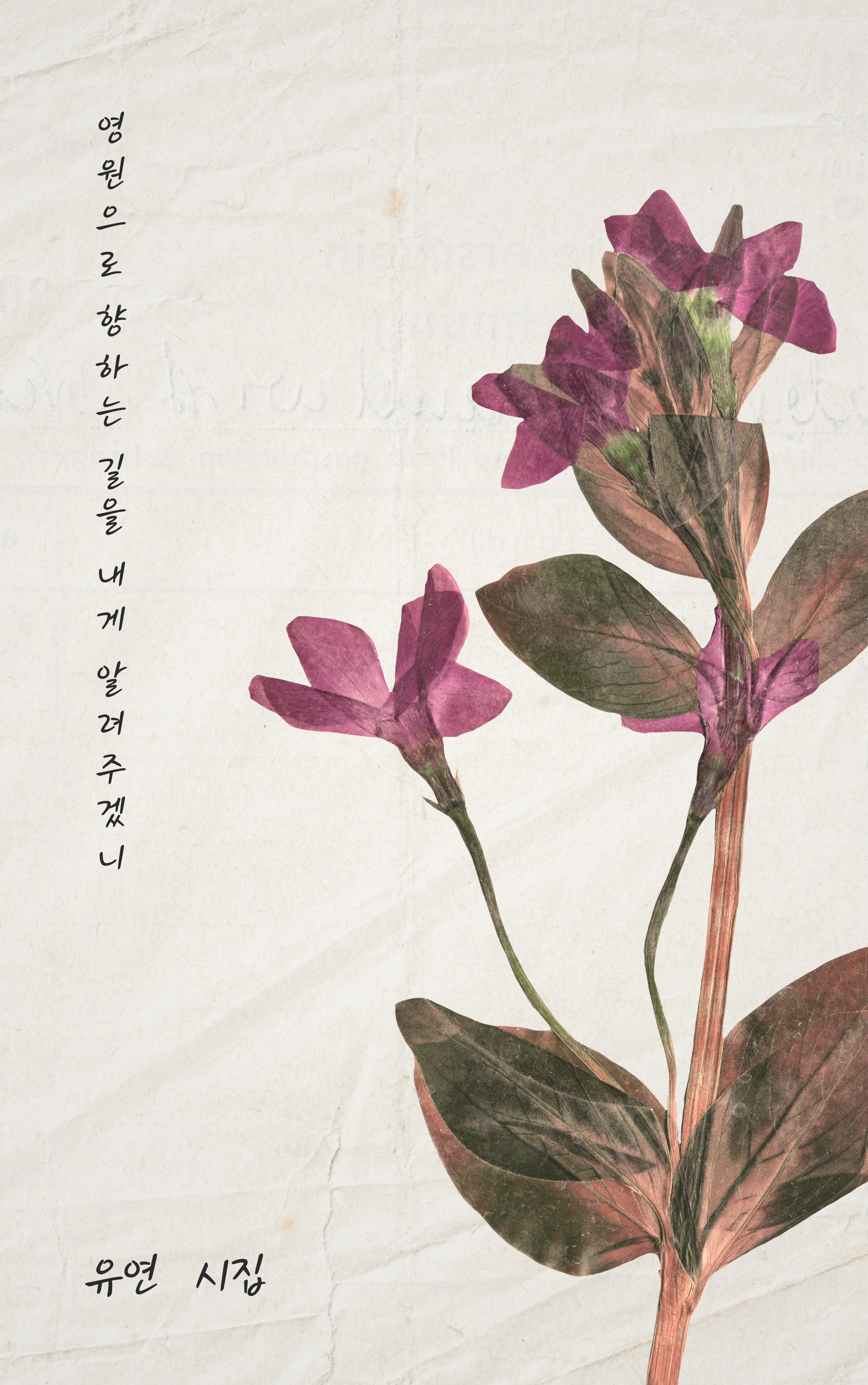 유연