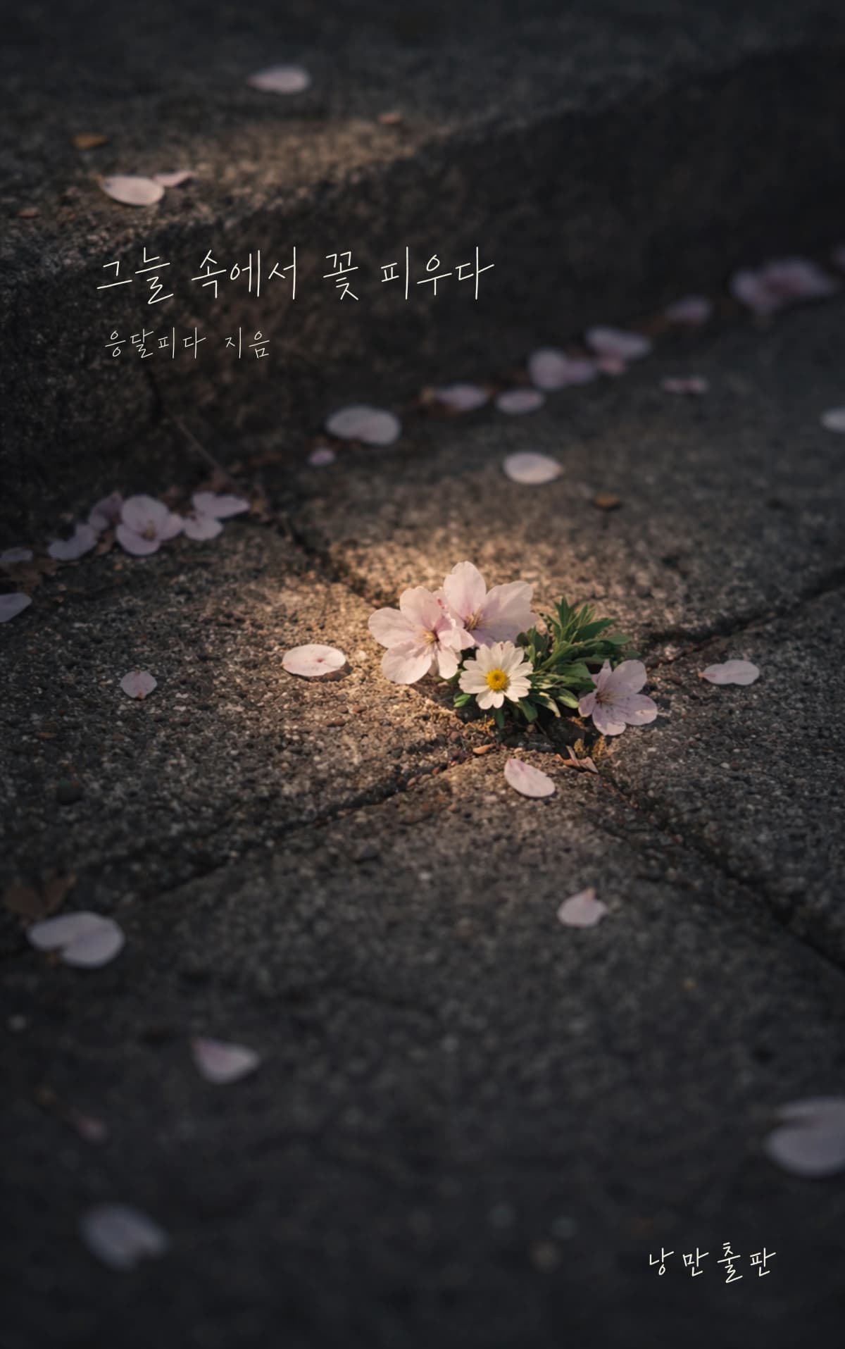 응달피다