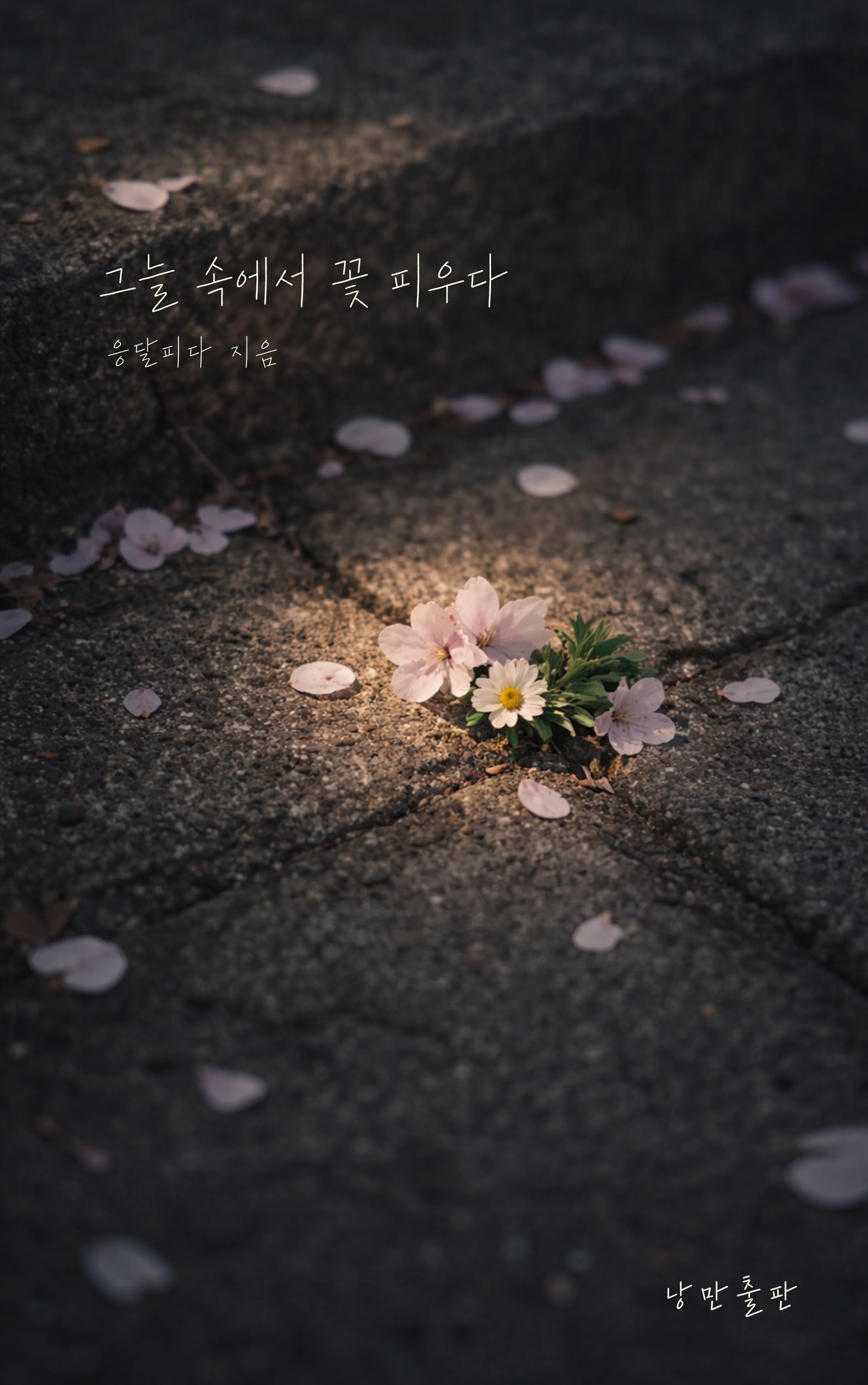 응달피다