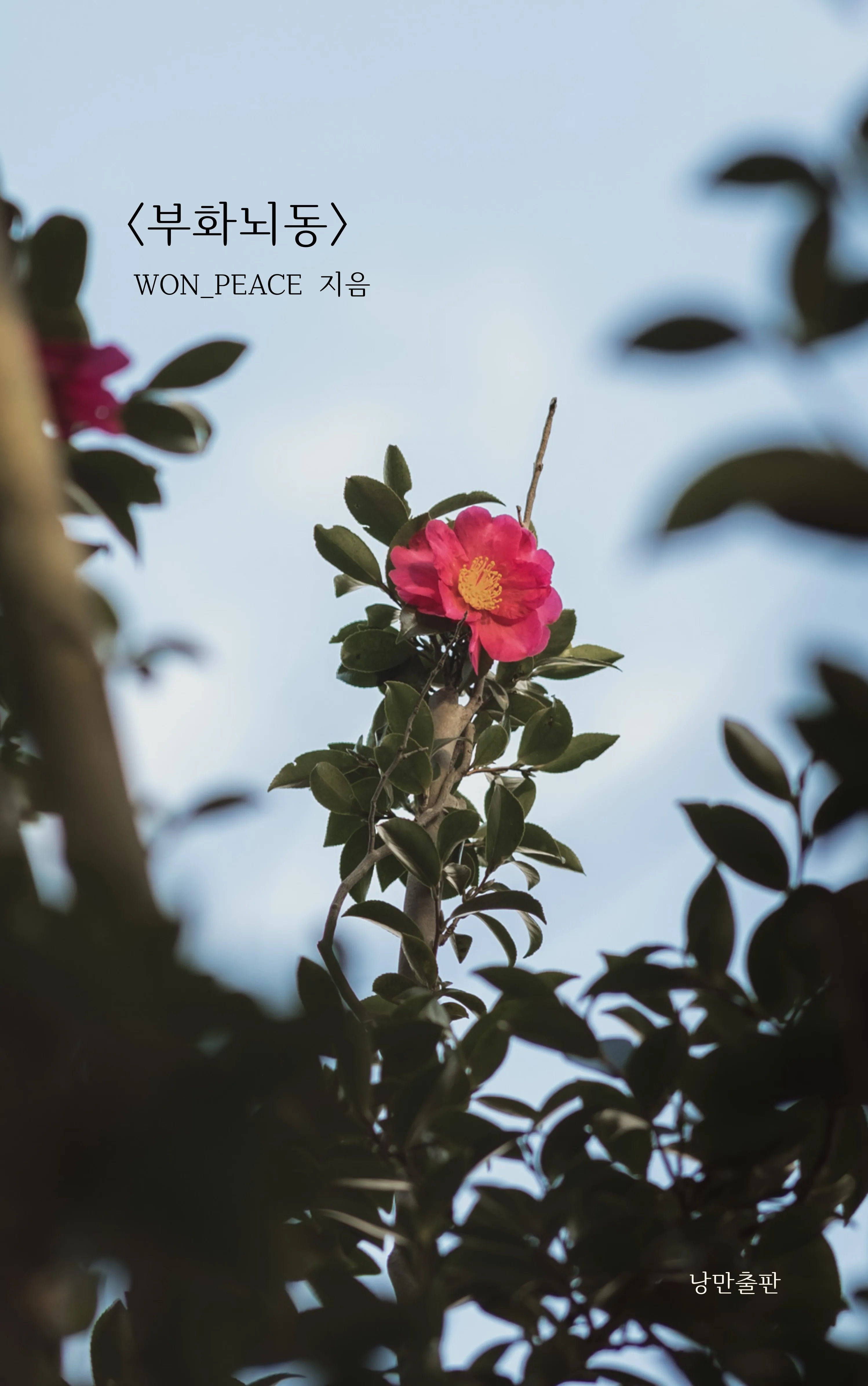 won_peace sub 1