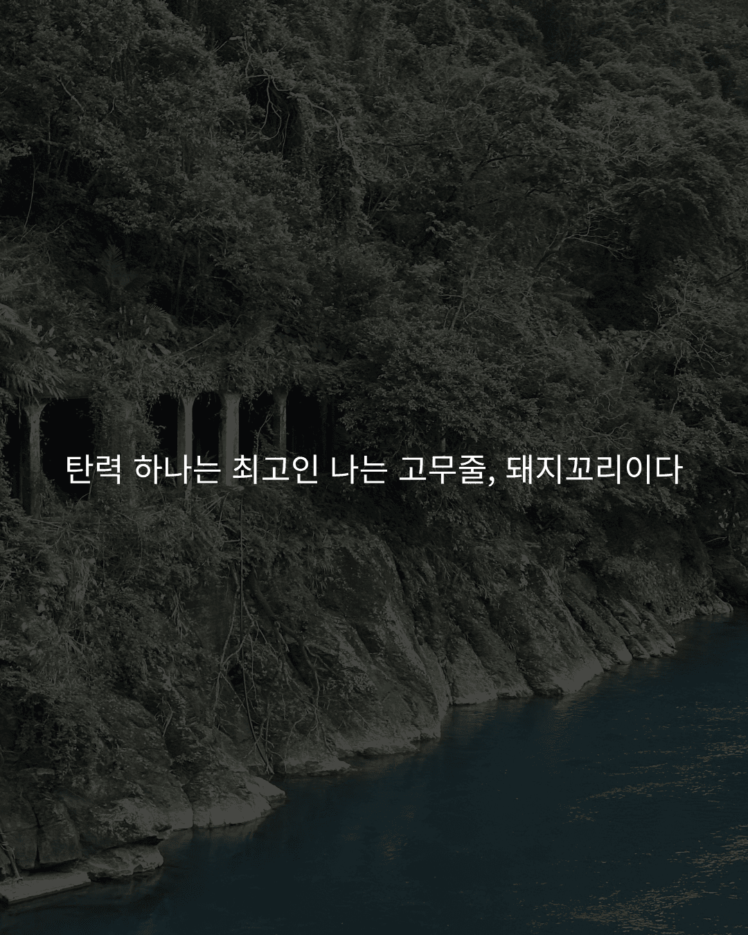 FP시인 sub 11