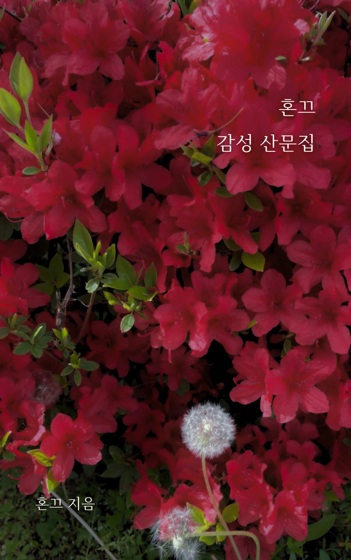 혼끄
