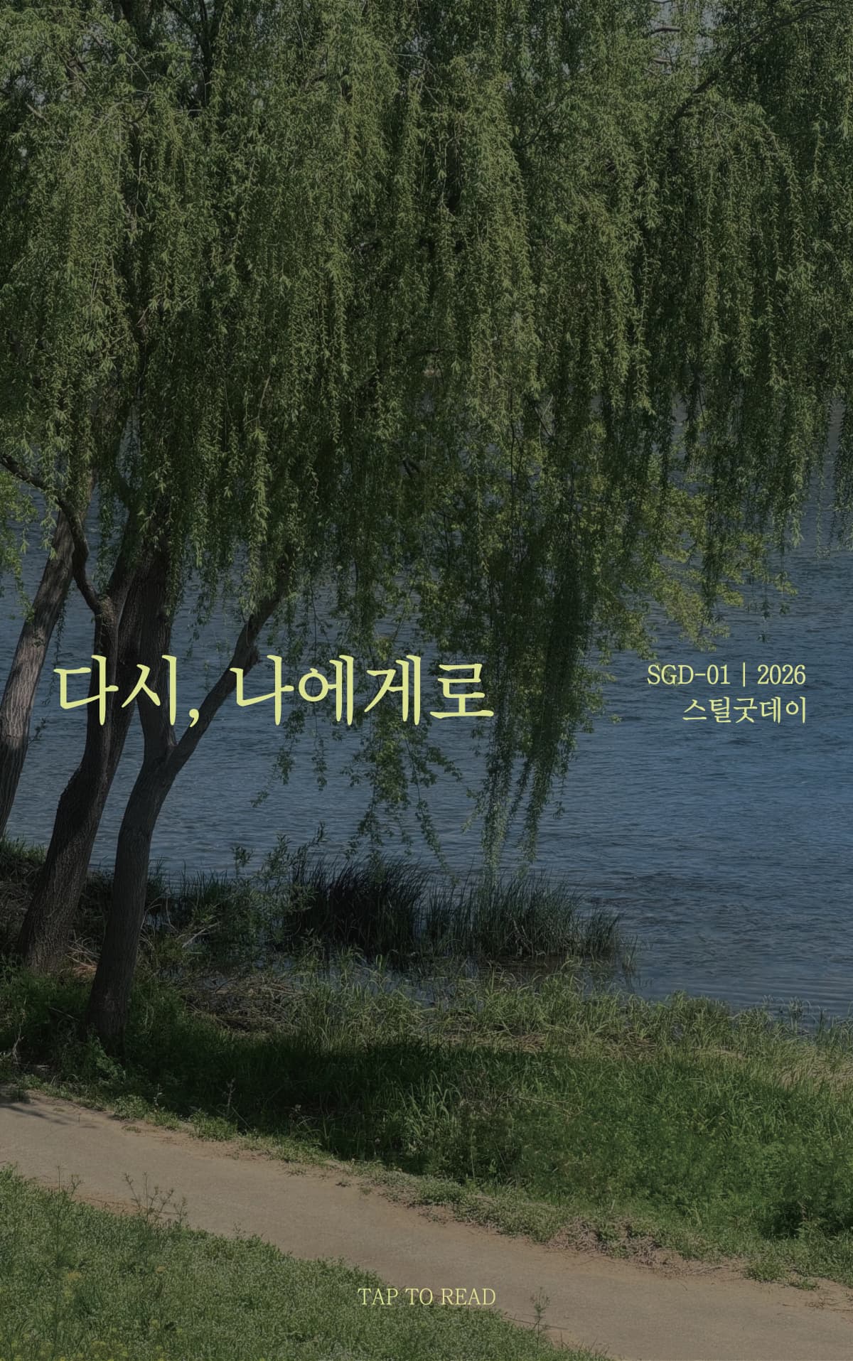 스틸굿데이