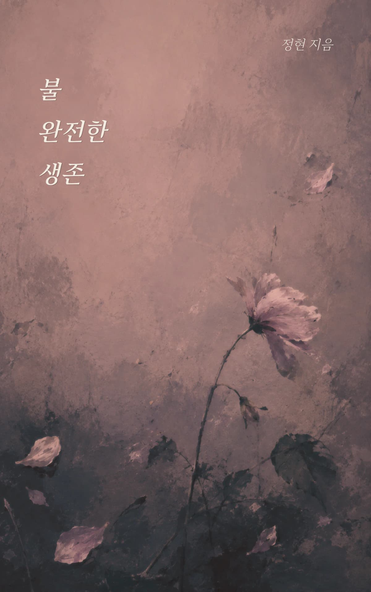 정현