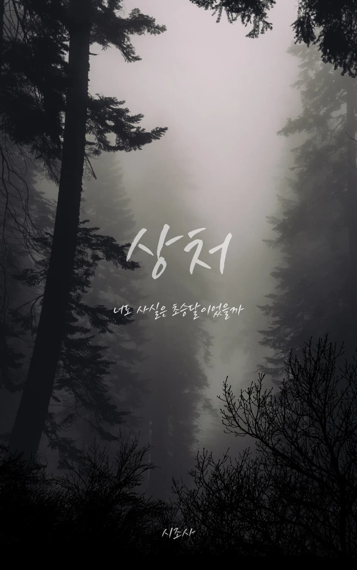 시조사