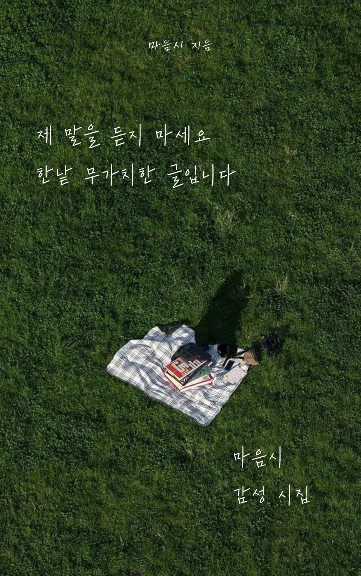 마음시