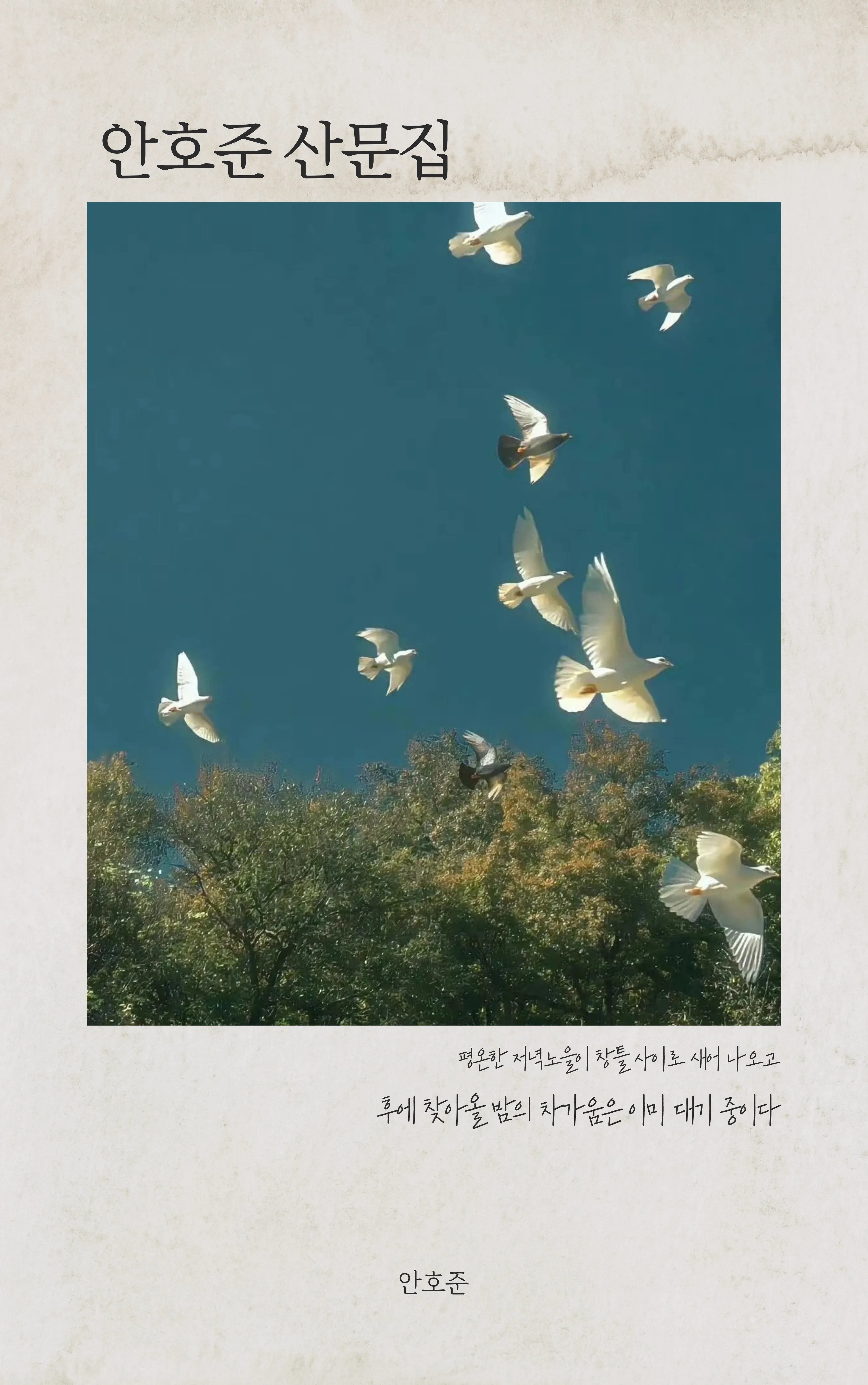 안호준 sub 1