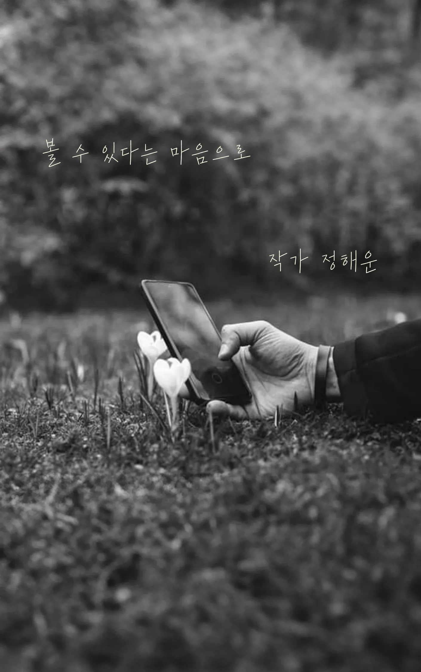 정해운 sub 1